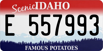ID license plate E557993