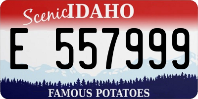 ID license plate E557999