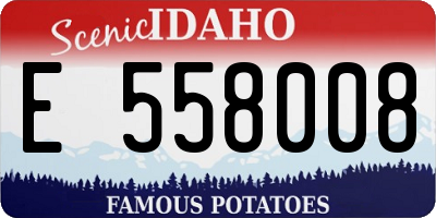 ID license plate E558008