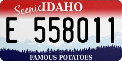 ID license plate E558011
