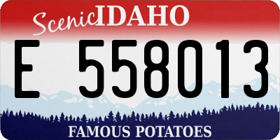 ID license plate E558013