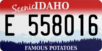 ID license plate E558016