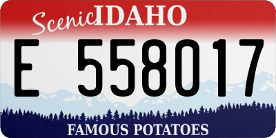 ID license plate E558017