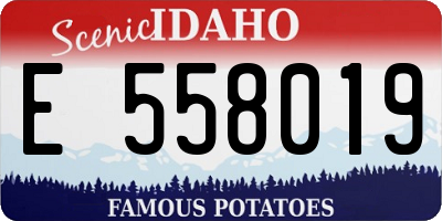 ID license plate E558019