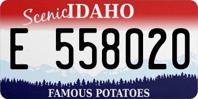 ID license plate E558020