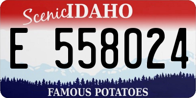 ID license plate E558024