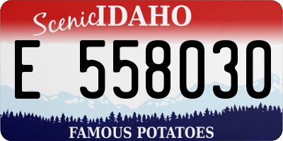 ID license plate E558030