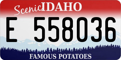 ID license plate E558036