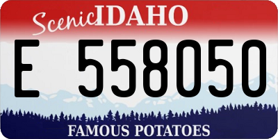 ID license plate E558050