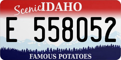 ID license plate E558052