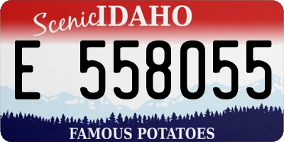 ID license plate E558055