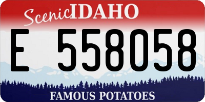 ID license plate E558058