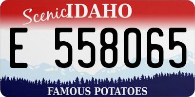 ID license plate E558065