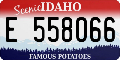 ID license plate E558066