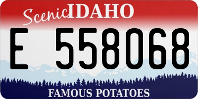 ID license plate E558068