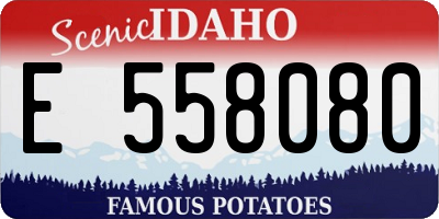 ID license plate E558080