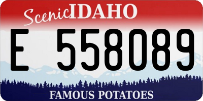 ID license plate E558089