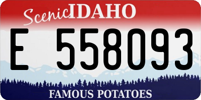 ID license plate E558093