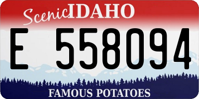 ID license plate E558094