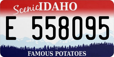 ID license plate E558095