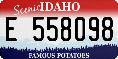 ID license plate E558098