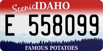 ID license plate E558099