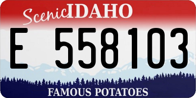 ID license plate E558103