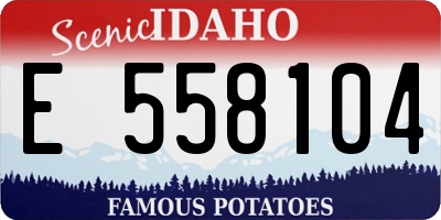 ID license plate E558104