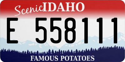 ID license plate E558111