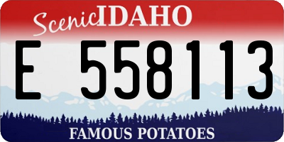 ID license plate E558113