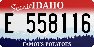 ID license plate E558116