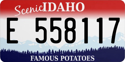 ID license plate E558117
