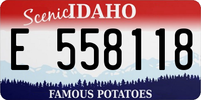 ID license plate E558118