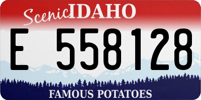 ID license plate E558128