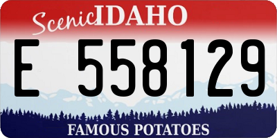 ID license plate E558129