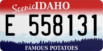 ID license plate E558131