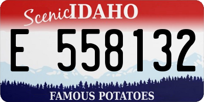 ID license plate E558132