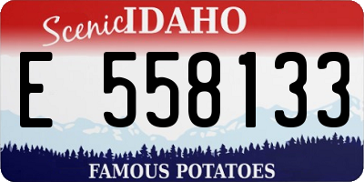 ID license plate E558133