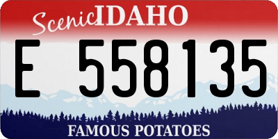 ID license plate E558135