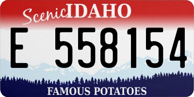 ID license plate E558154