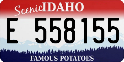ID license plate E558155