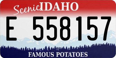 ID license plate E558157