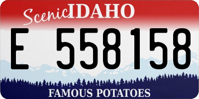ID license plate E558158