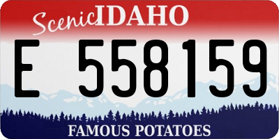 ID license plate E558159