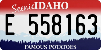 ID license plate E558163