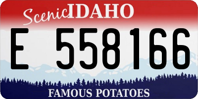 ID license plate E558166
