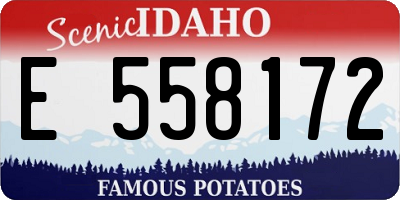 ID license plate E558172