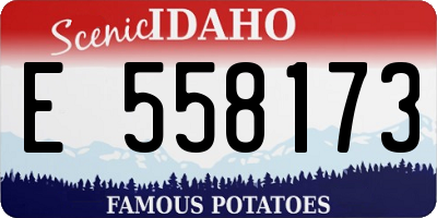 ID license plate E558173