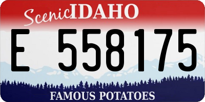 ID license plate E558175