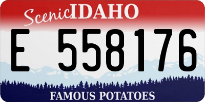 ID license plate E558176